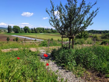 Naturnahes Gärtnern blüht und gedeiht