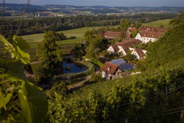 Weinlagen um die Kartause Ittingen